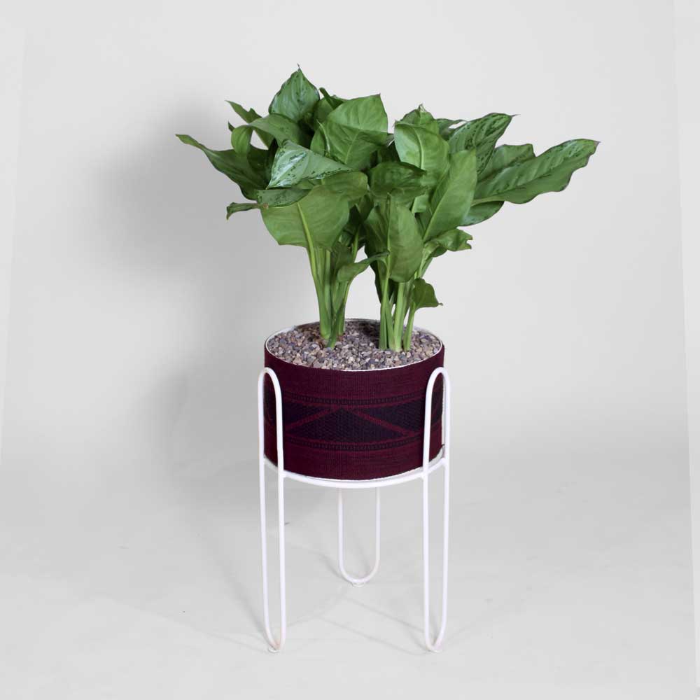 Matera de Piso Jamioy